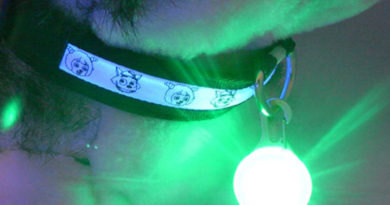 LED Pet Collar 💡 1 Pcs-5 different colors 😛 Cute luminous pendant for dogs