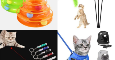 The animal will have fun happily with this gadgets! 😸 Divertenti giochi e gadgets per gatti e animali domestici