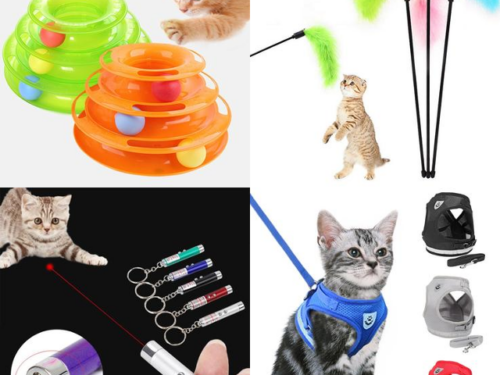 Make your cat happy with these beautiful gadgets! 🙀 Rendi felice il tuo gatto con questi meravigliosi gadget!