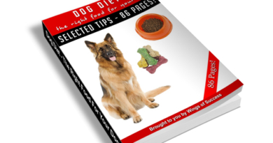 The Right Food for Your Dog 🐶 Discover about the dogs diet