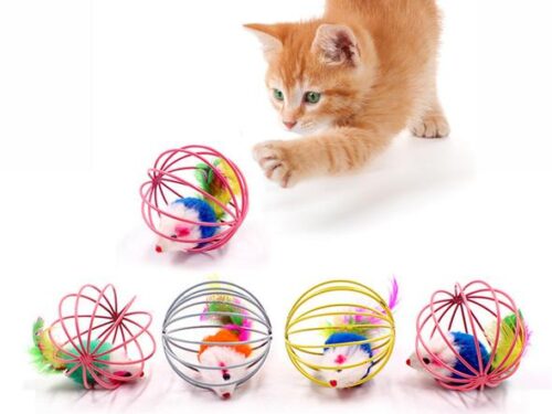 🐈 Lots of fun games for your cat Your cat will go crazy 😻 😸 For your enjoyment – Giochi per gatti