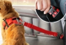 Adjustable Car seat belt for your dog 🦮 Protect your pet in the car | Cintura per cani