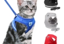 Walk your kitty with this beautiful collar | It is nice to take the cat for a walk!