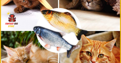 Anti obesity electric fish for your cat | Did you know that a sedentary lifestyle is bad for your cat?