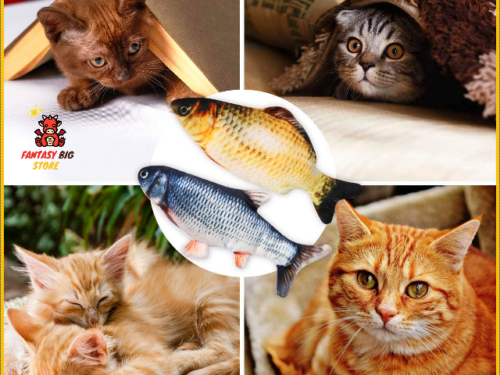 Anti obesity electric fish for your cat | Did you know that a sedentary lifestyle is bad for your cat?