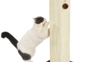 Palo tiragraffi per gatti, alto e grande, di qualità, 40,6 x 89 x 40,6 cm, moquette marrone