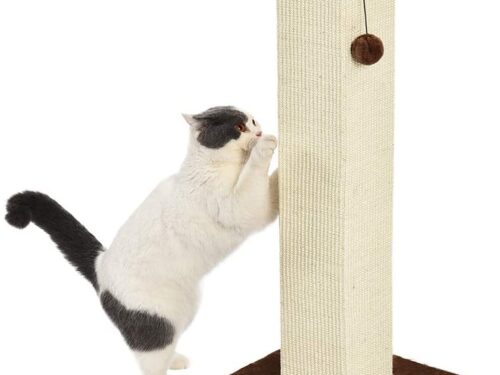 Palo tiragraffi per gatti, alto e grande, di qualità, 40,6 x 89 x 40,6 cm, moquette marrone