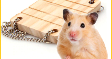Funny hamster bridge | In finely crafted quality wood
