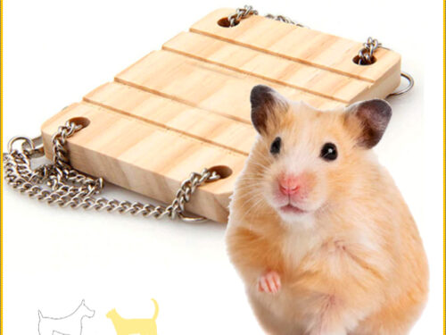 Funny hamster bridge | In finely crafted quality wood