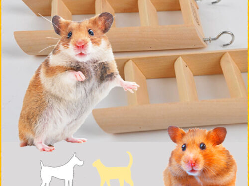 Small wooden ladder worked for hamster climbing