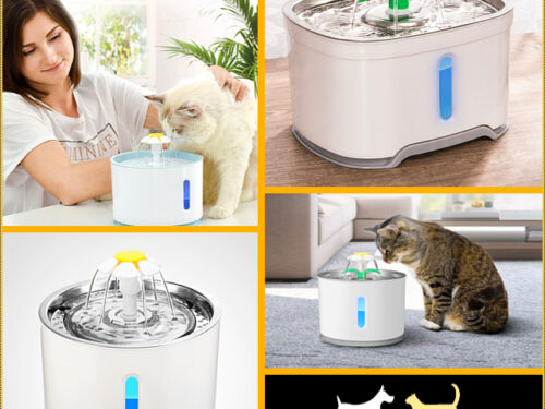 WATERCAT™ | Electric automatic led fountain | USB water dispenser