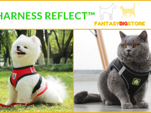 HARNESS REFLECT™ | Safe reflective walking collar for cats and dogs