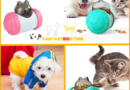 TURN TREATS™ | Rotating interactive game for cats and dogs | Automatic vending machine for croquettes