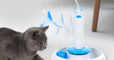 ROTO CAT™ | AUTOMATIC ACTIVITY INTERACTIVE TOY