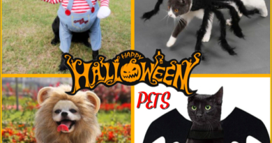 HALLOW FANTASY™ | HALLOWEEN COSTUMES FOR DOGS AND CATS