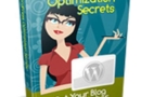 WordPress Optimization Secrets: Get your blog to rank higher