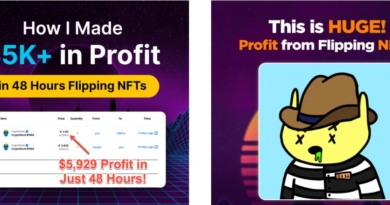 How I Flipped $20K In NFTs in Less than 30 Days And How You Can Do The Same