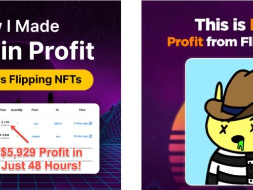How I Flipped $20K In NFTs in Less than 30 Days And How You Can Do The Same