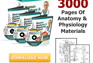 “Here’s Your Chance To Skip The Struggle & Master Human Anatomy & Physiology In 7 DAYS Or Less… 100% Guaranteed!”