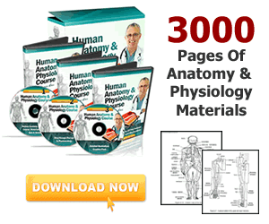 “Here’s Your Chance To Skip The Struggle & Master Human Anatomy & Physiology In 7 DAYS Or Less… 100% Guaranteed!”