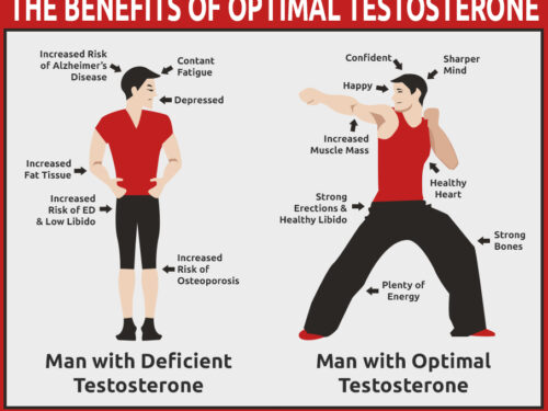 DISCOVER HOW TO NATURALLY INCREASE YOUR TESTOSTERONE LEVELS FOREVER WITH SIMPLE CHANGES TO YOUR DIET THE MAN DIET: YOUR COMPLETE PATH TO NATURALLY OPTIMAL TESTOSTERONE LEVELS