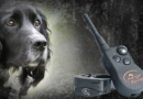 Sport Dogs: Train Your Dog Effectively and Easily with this Versatile and Reliable Remote Trainer