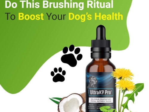 Ultra K9 Pro: A Primal Nutrients Formula for Dogs – Providing Your Furry Friend with All-Natural Nutrition to Support Their Health and Wellbeing