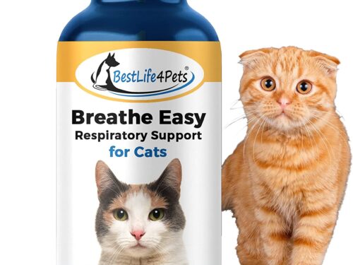BestLife4Pets | Breathe Easy for Cat | Improve Your Cats Respiratory Systems and Breathing| Cat Antihistamine for Sneezing and Nose Congestion | 450 Pills