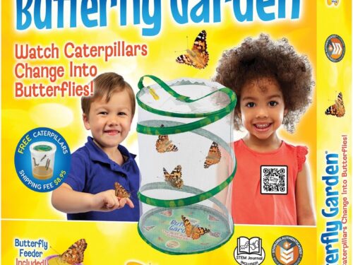 Insect Lore – Butterfly Growing Kit – Butterfly Habitat Kit with Voucher to Redeem 5 Caterpillars, STEM Journal, Butterfly Feeder & More – Life Science & STEM Education – Butterfly Science Kit
