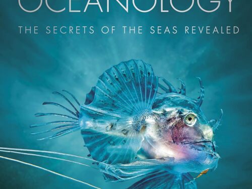 Oceanology: The Secrets of the Sea Revealed (DK Secret World Encyclopedias)
